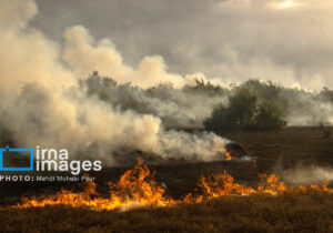 میراث هیرکانی در تقابل با بی‌مسئولیتی!