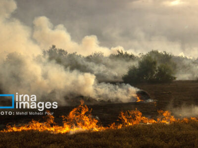 میراث هیرکانی در تقابل با بیمسئولیتی!