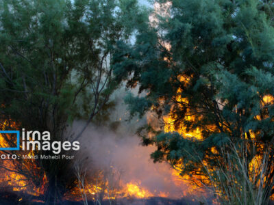 در ۵ منطقه جنگلهای شمال بحران آتشسوزی داشتیم