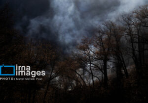 مازندران در محاصره آتش؛ از مراتع آمل تا جنگل‌های کلاردشت