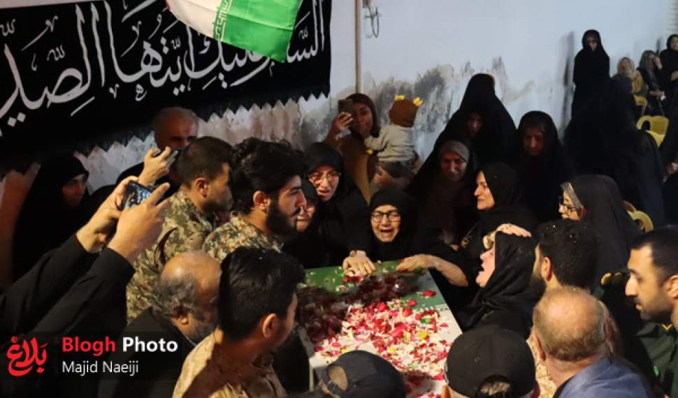 در سایهسار بانوی دو عالم در سایهسار بانوی دو عالم